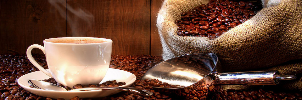 Organo Gold au Qu�bec - Caf� Organo Gold