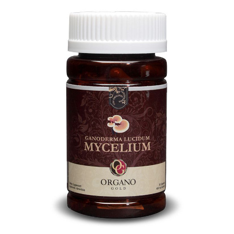 Ganoderma Mycelium 100% Biologique
